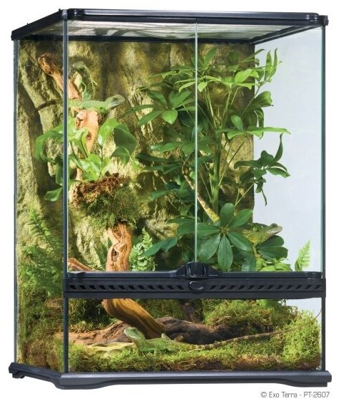 Террариум Exo Terra(hagen) EXO TERRA Natural Terrarium Small из силикатного стекла (45х45х60см) PT2607