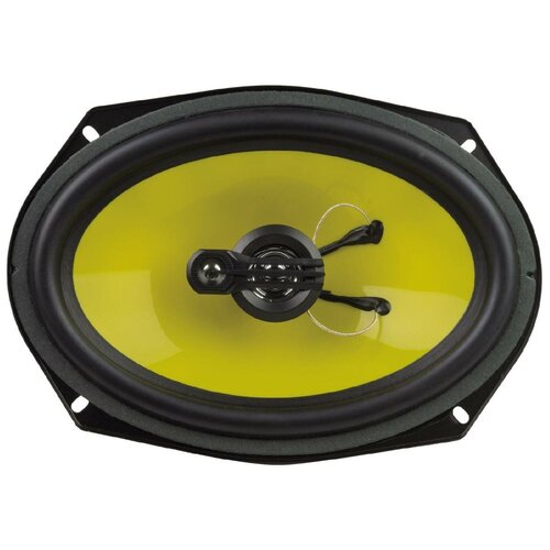 Акустика ECON EMS-6913 239000₽