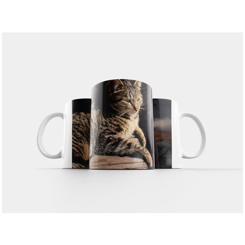 фото Кружка "животное, кошка, тигровые полосы" 320 мл lotsprints