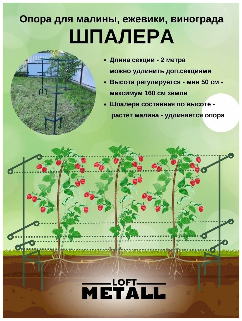 Шпалера для малины, опора для винограда и вьющихся растений, дополнительная стойка - фотография № 2