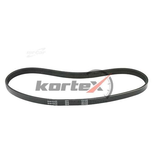 фото Kortex kdb056std ремень поликлиновой