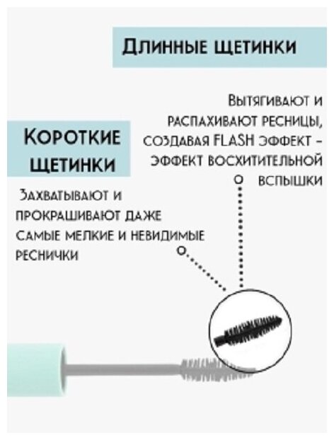 Тушь для ресниц Flashes Взрывной Объем + бесконечная длина Young Белита 16 мл Белита СП ООО - фото №3