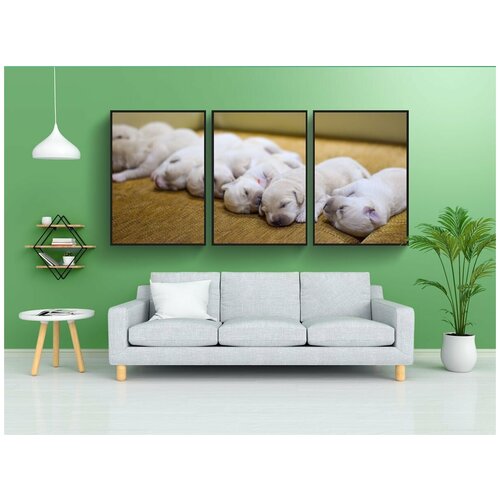 фото Набор модулных постеров для интерьера "мопс, щенок, собака" 60x90 см. в тубусе, без рамки lotsprints