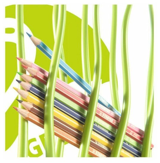 Набор карандашей цветных Stabilo "Green Colors" 12 цв - фото №3