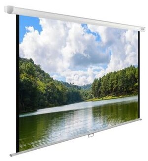 Экран Cactus 150x240см WallExpert CS-PSWE-240x150-WT 16:10 настенно-потолочный рулонный белый