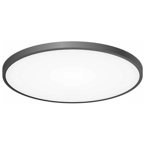 Потолочный светодиодный светильник с пультом Lightday TH7544/1Black