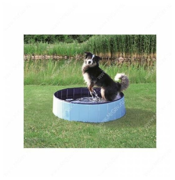 Бассейн для собак, ø 80 x 20 см, голубой/синий - фотография № 1