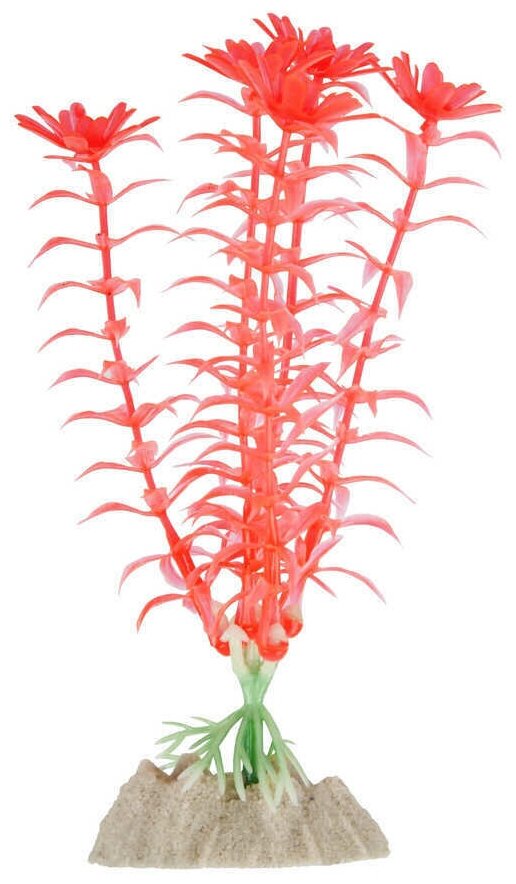 GloFish Растение М, оранжевое - фотография № 1