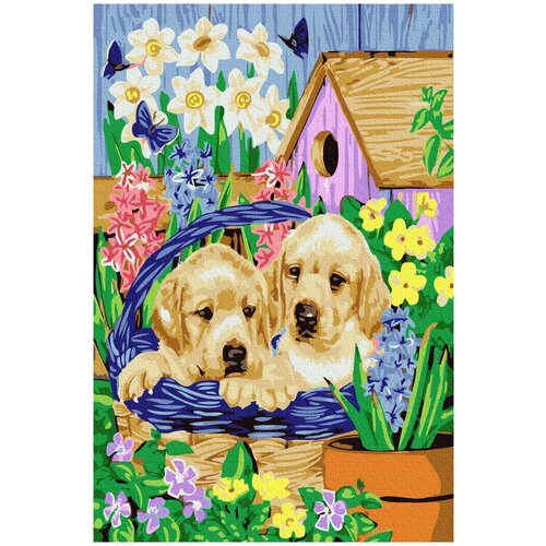 фото Набор юного художника 20х30 щенки лабрадора molly