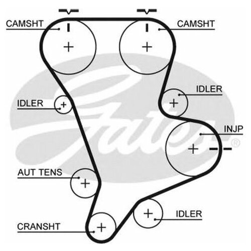 фото Зубчатый ремень для hyundai terracan; kia bongo, carnival i,ii, k2900 (производитель: gates 5583xs)