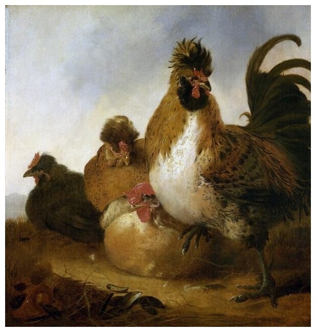 Репродукция на холсте Петух и курицы Кейп Альберт 30см. x 32см.