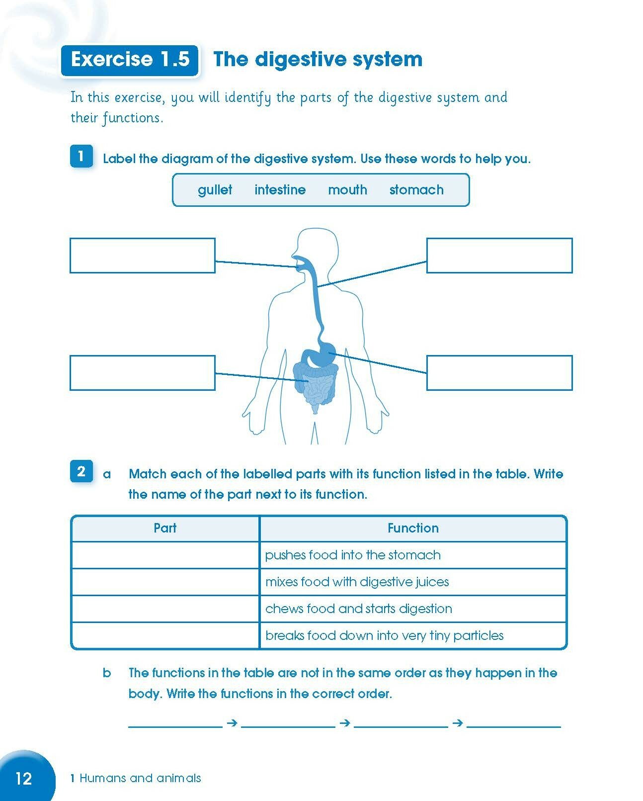 Cambridge Primary Science. Stage 6. Activity Book - фото №5