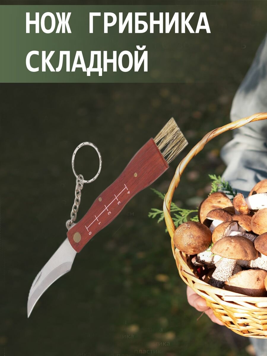 Нож грибника складной 17 см с щеткой 310898