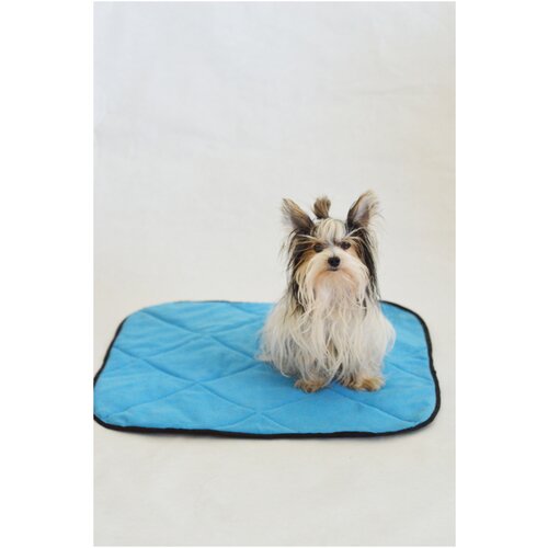 фото Пеленка коврик подстилка для собак многоразовая впитывающая 60 на 60 см cartoon dogs