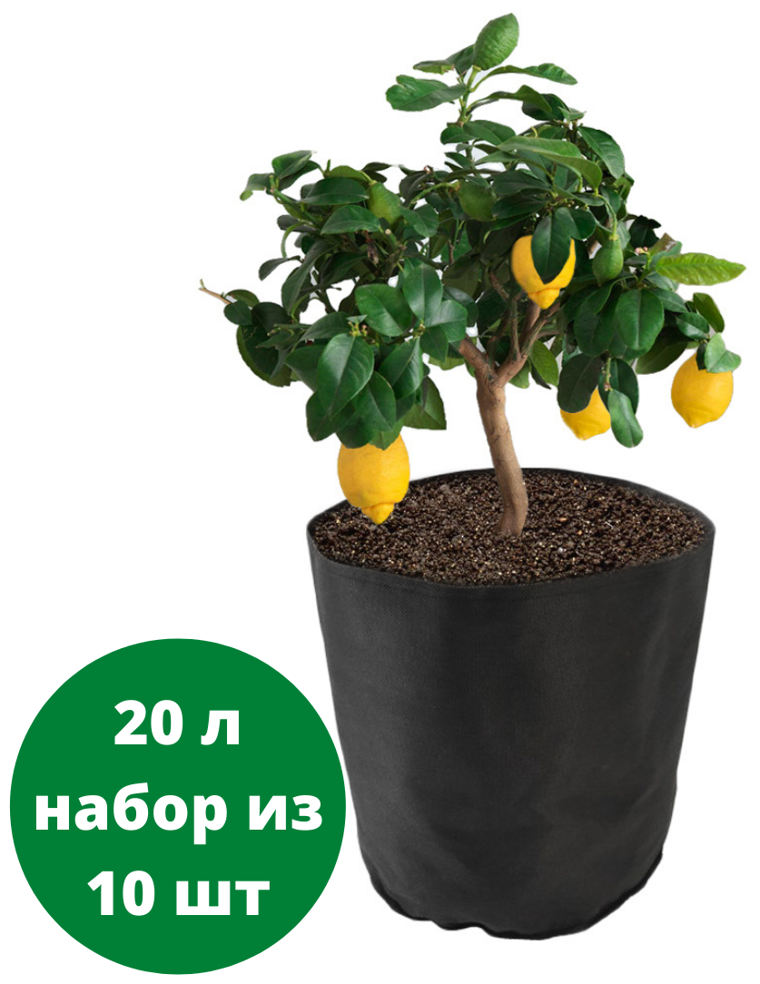 Тканевый горшок для растений Bag Pot Eco 20 л набор из 10 шт