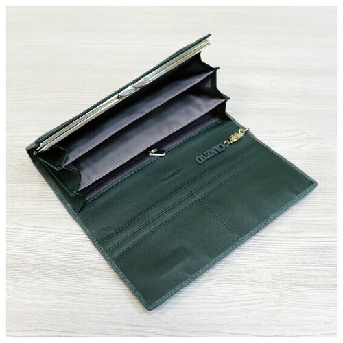 Кошелек Canevo 5-755-8200