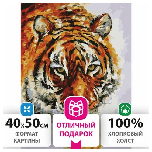 Картина по номерам 40х50 см, остров сокровищ "Тигр", на подрамнике, акриловые краски, 3 кисти, 662473