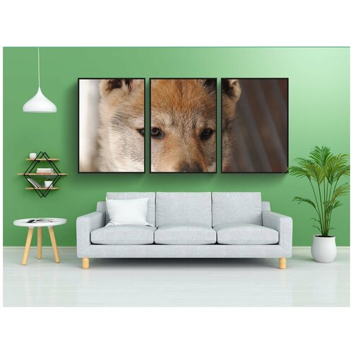 фото Набор модулных постеров для интерьера "собака, сука, банка" 60x90 см. в тубусе, без рамки lotsprints