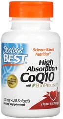 High Absorption Co Q10 with BioPerine капс., 100 мг, 120 шт.