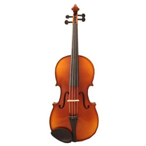 Скрипка ALINA PRO AAV014 скрипка размер 3 4 alina pro avd85sa