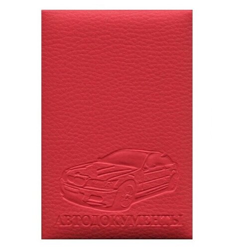 Обложка для автодокументов Мастерская Стрекоза, красный обложка на автодокументы темно коричн р00060 knp р00060