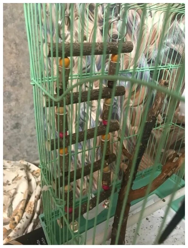 Игрушка для птиц Лесенка с боченками 27х10см, Zoobaloo - фотография № 2