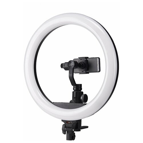 Осветитель кольцевой Tolifo R-1948RGB Цветной диаметр 48см 1202000₽