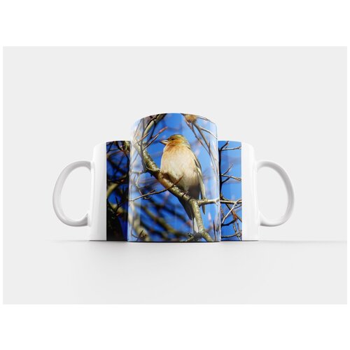 фото Кружка "зяблик, певчие птицы, птицы" 320 мл lotsprints