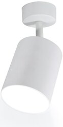 Светильник накладной Arton, поворотный, цилиндр, 80х100мм, LED 12Вт, 960Лм, 4200К, алюминий, белый, настенно-потолочный светильник Ritter 59974 6