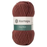 Cozy Wool (упаковка 5 шт) 1892 коричневый - изображение