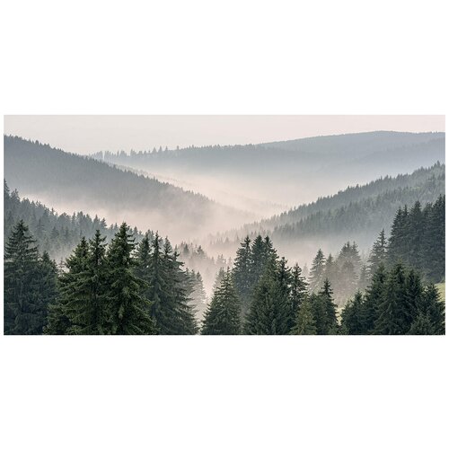 Фотообои Горы и лес в тумане 3 флизелиновые, 5,40 x 2,70 м (Flizelini 2050-6F) фотообои горы и лес в тумане 2 флизелиновые 4 50 x 2 70 м flizelini 2049 5f