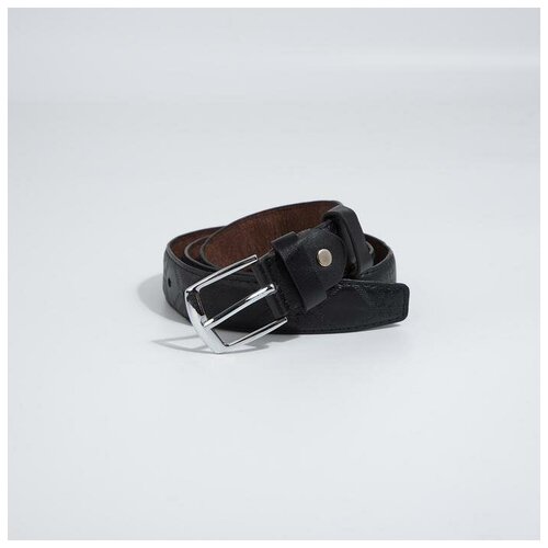 фото Ремень, ширина 2,8 см, винт, пряжка металл, цвет чёрный noname