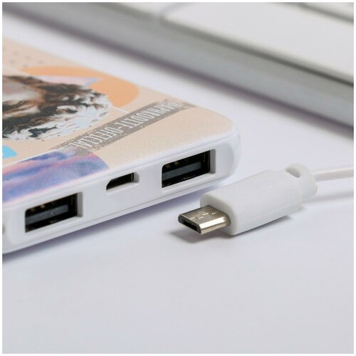 Зарядное устройство Energy 5000мА PB-03 63 х 95 см 108600₽