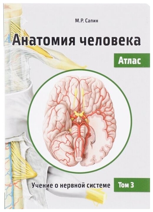 Анатомия человека. Атлас. Учебное пособие. В 3-х томах. Том 3: Учение о нервной системе