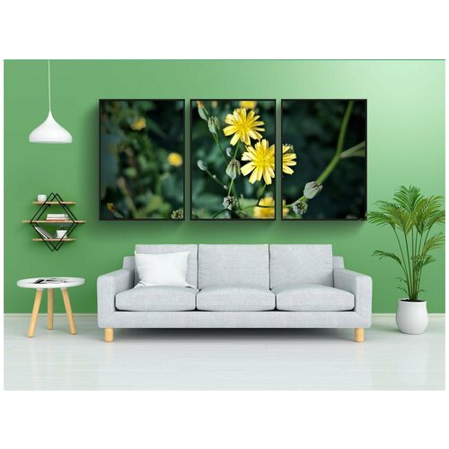 фото Набор модулных постеров для интерьера "цветок, полевые цветы, ястреб" 60x90 см. в тубусе, без рамки lotsprints