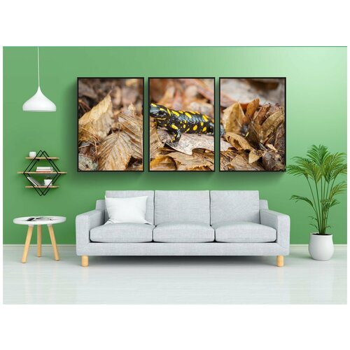 фото Набор модулных постеров для интерьера "листья, крупный план, огненная саламандра" 60x90 см. в тубусе, без рамки lotsprints