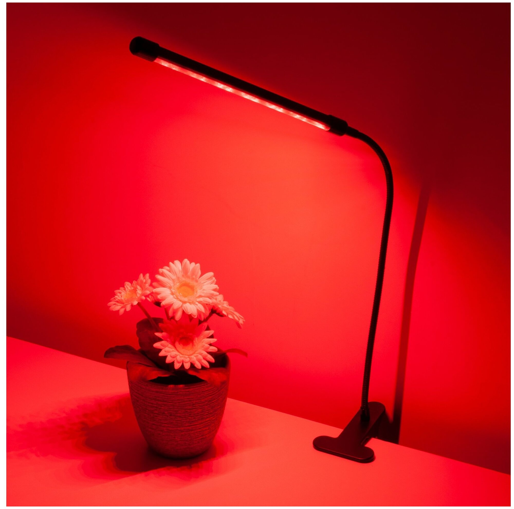 Фитолампа для растений 3 режима свечения / светильник светодиодный для растений / фитосветильник на прищепке / фито лампа для рассады - фотография № 4