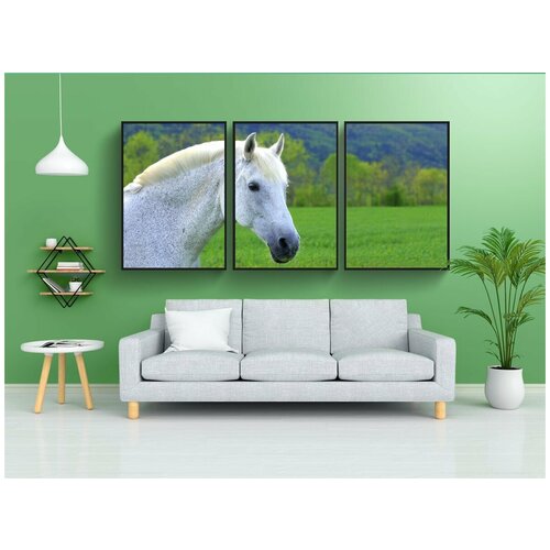 фото Набор модулных постеров для интерьера "лошадь, белый, кобыла" 60x90 см. в тубусе, без рамки lotsprints