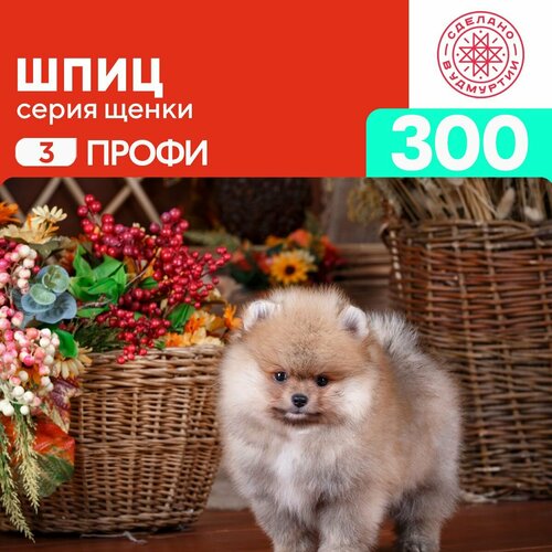 Пазл Шпиц 300 деталей Сложный