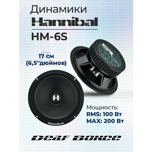 Эстрадная акустика Hannibal HM-6S