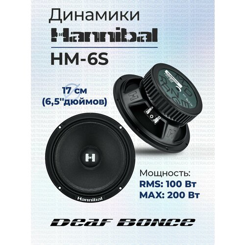 Эстрадная акустика Hannibal HM-6S 349000₽
