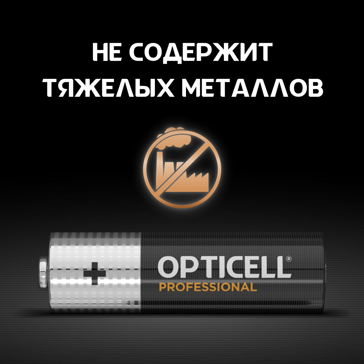 Элемент питания алкалиновый 12AA/LR6 Professional Opticell