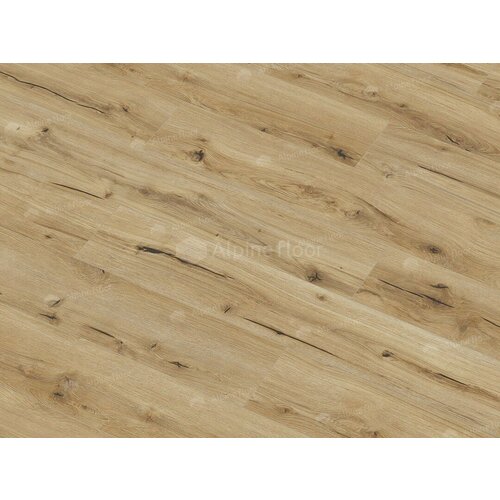 Arteo 8 M Дуб Гибсон 62751