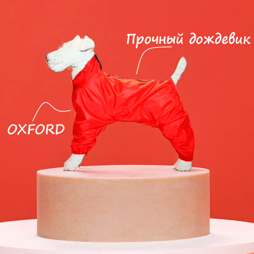 Комбинезон-дождевик для американского кокер-спаниеля кобеля, повышенной прочности, цвет красный