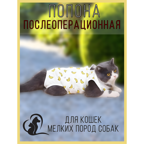 Попона послеоперационная для кошек и мелких собак на липучке