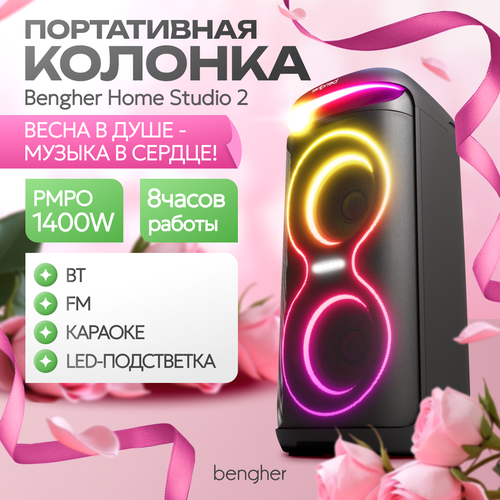 Колонка портативная беспроводная Bengher Party Box с караоке
