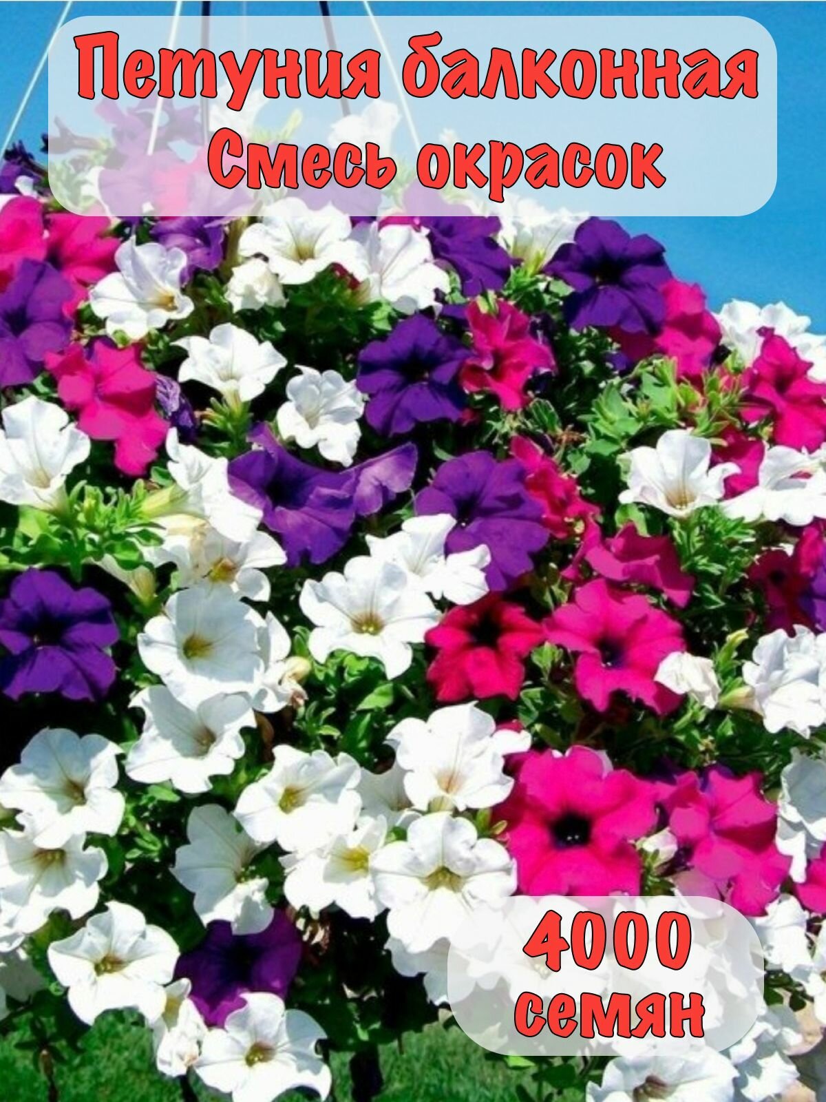 Семена 4000 шт Петуния балконная Смесь окрасок
