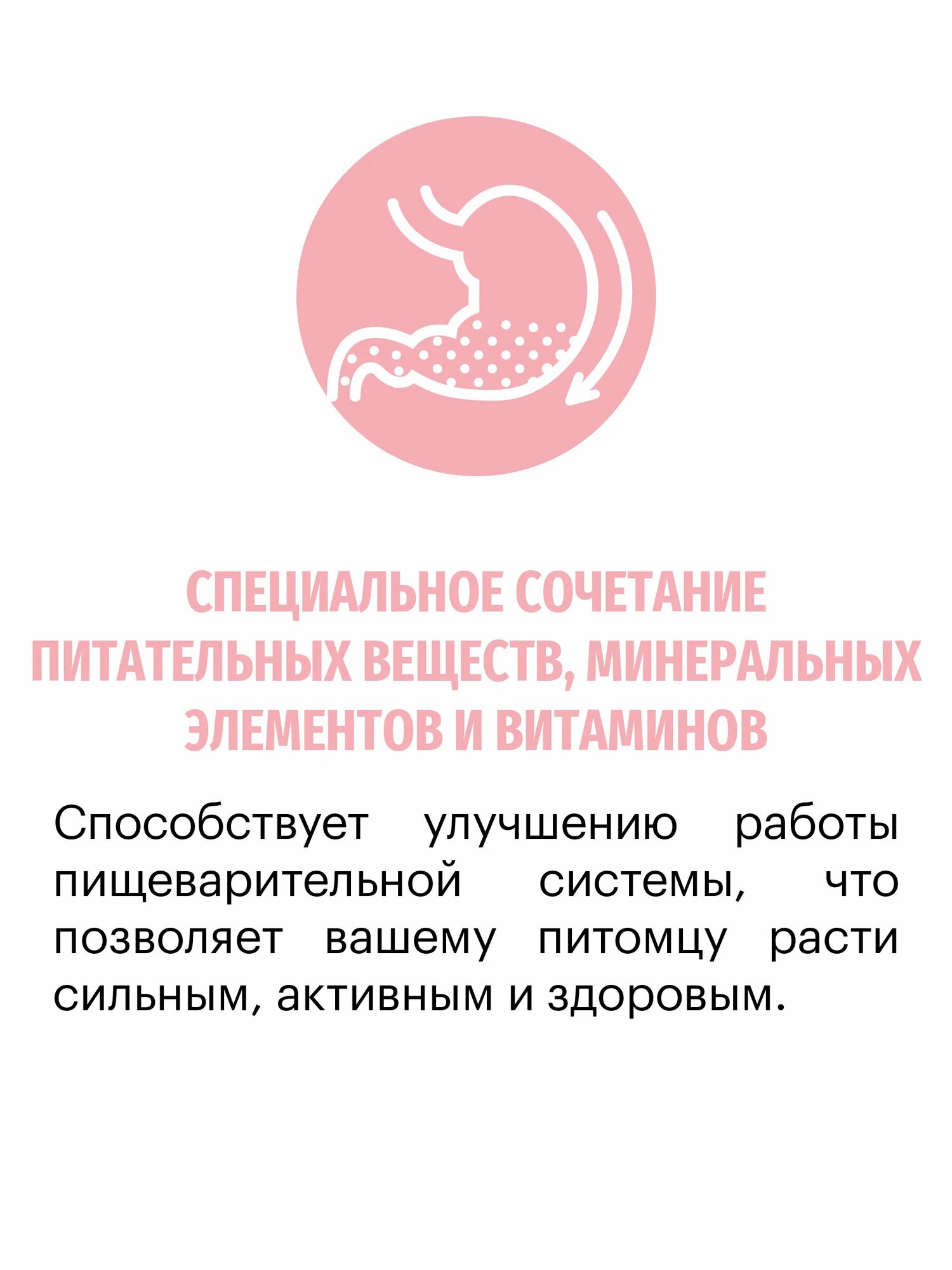Корм для собак сухой KARMY Delicious Medium & Maxi для привередливых собак средних и крупных пород, Телятина, 14кг. — фото 1