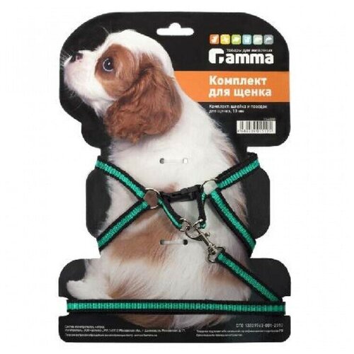 Gamma комплект шлейка и поводок для щенка 