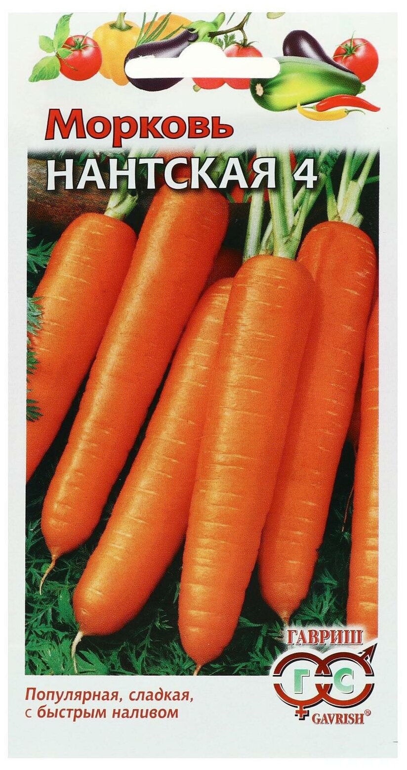 Морковь Нантская Описание Сорта Фото Отзывы